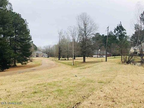 105 Maxwell Cv, Terry, MS 39170 photo 3