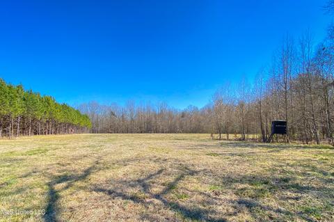 7692 Anderson Rd, Edwards, MS 39066 photo 47
