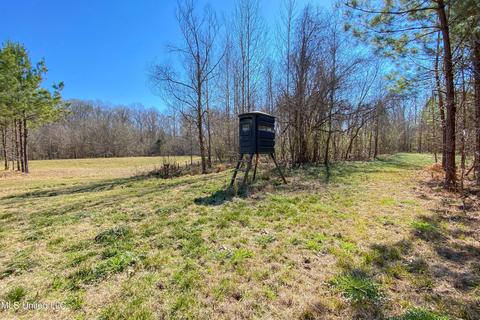 7692 Anderson Rd, Edwards, MS 39066 photo 44