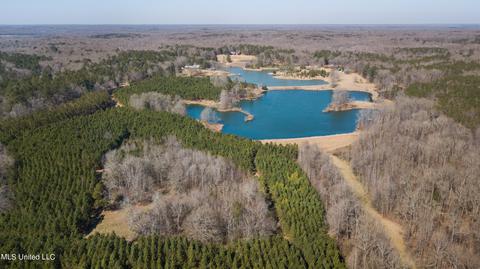 7692 Anderson Rd, Edwards, MS 39066 photo 99