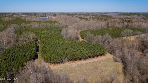 7692 Anderson Rd, Edwards, MS 39066 photo 96