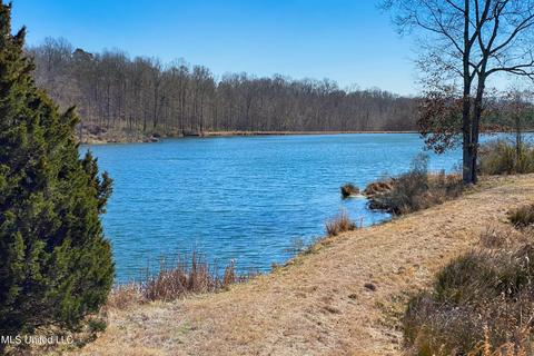 7692 Anderson Rd, Edwards, MS 39066 photo 59