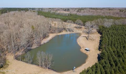 7692 Anderson Rd, Edwards, MS 39066 photo 93