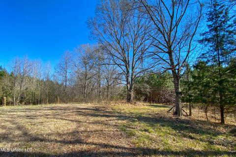 7692 Anderson Rd, Edwards, MS 39066 photo 64