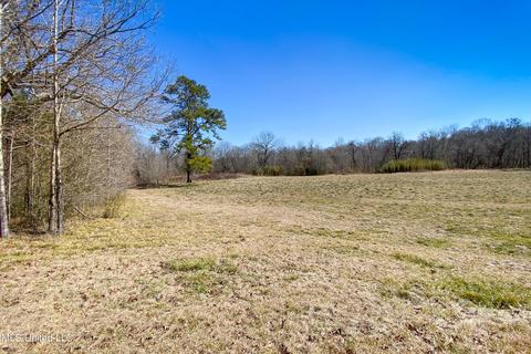 7692 Anderson Rd, Edwards, MS 39066 photo 42