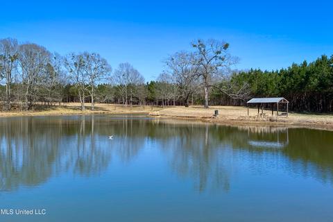 7692 Anderson Rd, Edwards, MS 39066 photo 67