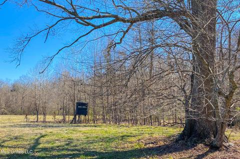 7692 Anderson Rd, Edwards, MS 39066 photo 46