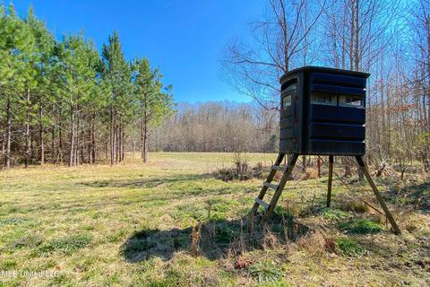 7692 Anderson Rd, Edwards, MS 39066 photo 45