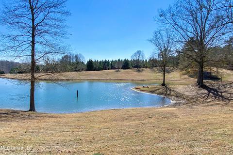 7692 Anderson Rd, Edwards, MS 39066 photo 48