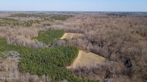 7692 Anderson Rd, Edwards, MS 39066 photo 95
