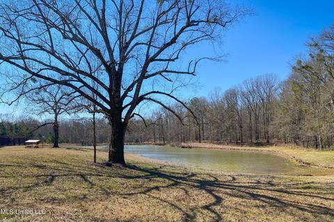 7692 Anderson Rd, Edwards, MS 39066 photo 65