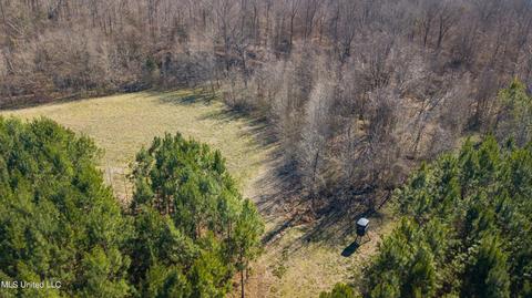 7692 Anderson Rd, Edwards, MS 39066 photo 98