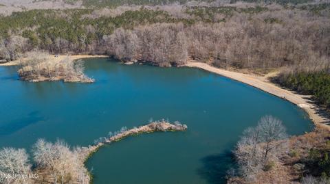 7692 Anderson Rd, Edwards, MS 39066 photo 92
