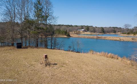 7692 Anderson Rd, Edwards, MS 39066 photo 90