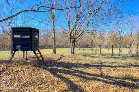 7692 Anderson Rd, Edwards, MS 39066 photo 39