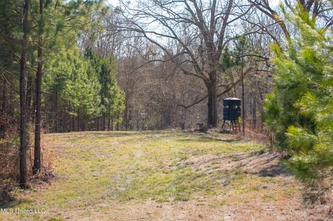 7692 Anderson Rd, Edwards, MS 39066 photo 76