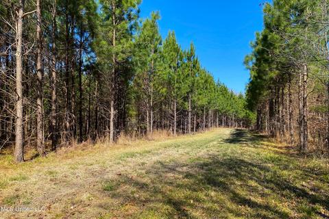 7692 Anderson Rd, Edwards, MS 39066 photo 43