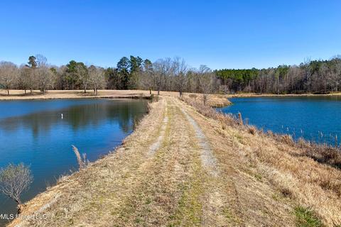 7692 Anderson Rd, Edwards, MS 39066 photo 60