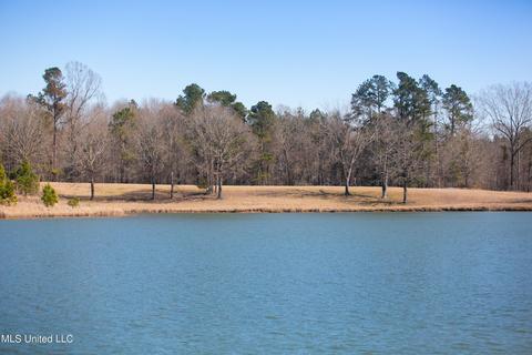 7692 Anderson Rd, Edwards, MS 39066 photo 75