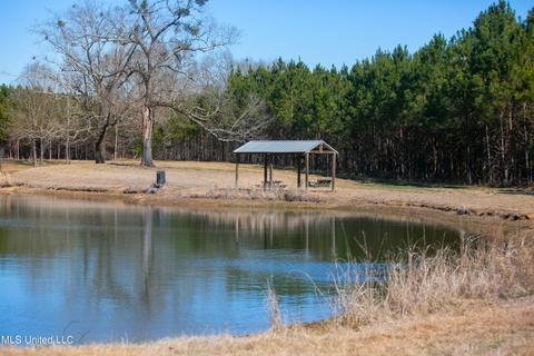 7692 Anderson Rd, Edwards, MS 39066 photo 77