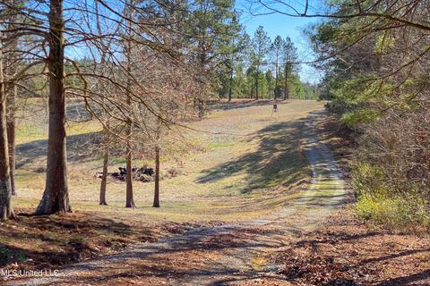 7692 Anderson Rd, Edwards, MS 39066 photo 70
