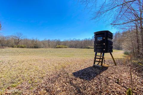 7692 Anderson Rd, Edwards, MS 39066 photo 40