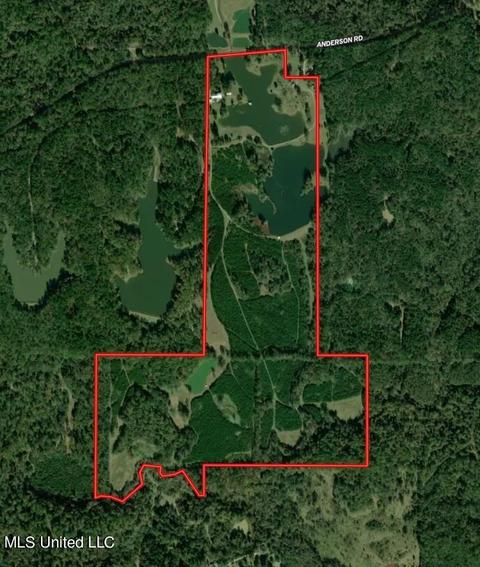 7692 Anderson Rd, Edwards, MS 39066 photo 161
