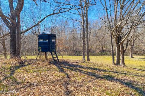 7692 Anderson Rd, Edwards, MS 39066 photo 38