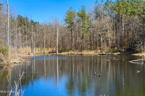 7692 Anderson Rd, Edwards, MS 39066 photo 62