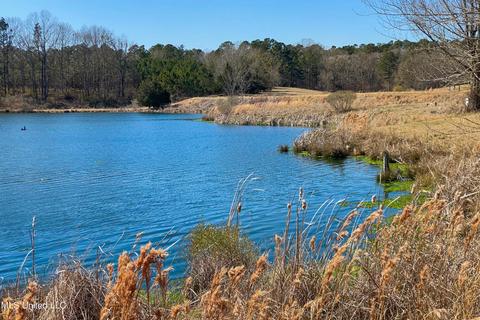 7692 Anderson Rd, Edwards, MS 39066 photo 63