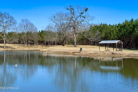 7692 Anderson Rd, Edwards, MS 39066 photo 66