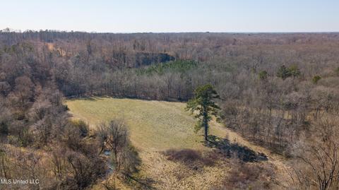 7692 Anderson Rd, Edwards, MS 39066 photo 101