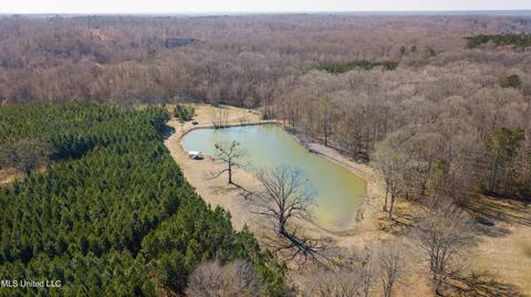 7692 Anderson Rd, Edwards, MS 39066 photo 100