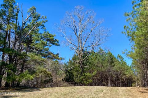 7692 Anderson Rd, Edwards, MS 39066 photo 68