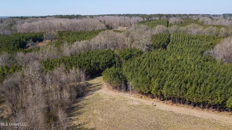 7692 Anderson Rd, Edwards, MS 39066 photo 97