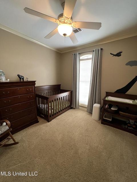 102 Hemlock Ln, Madison, MS 39110 photo 29