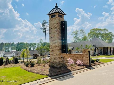 471 Crossvine Pl, Madison, MS 39110 photo 1