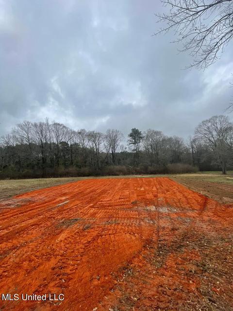 109 Braydens Bend Cv, Brandon, MS 39042 photo 4