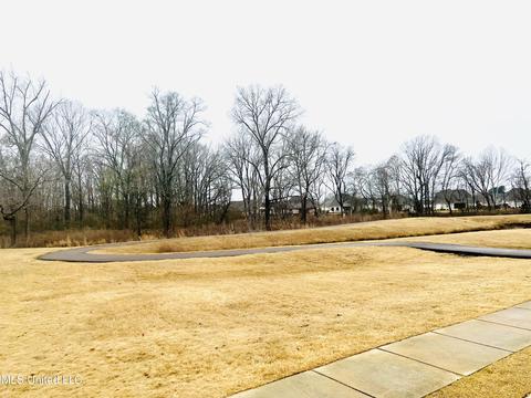 145 Huber St, Madison, MS 39110 photo 42
