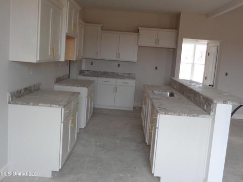 4911 Bakers Trl E, Nesbit, MS 38651 photo 6
