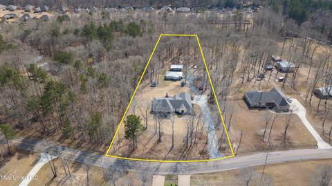 1254 E Deer Ridge Rdg, Brandon, MS 39042 photo 66