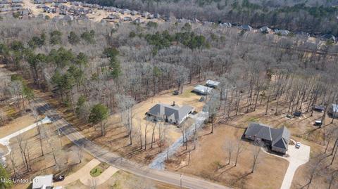 1254 E Deer Ridge Rdg, Brandon, MS 39042 photo 67