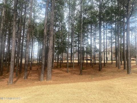101 Rosedowne Bnd, Madison, MS 39110 photo 1
