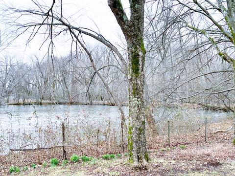 7595 Stateline Rd, Olive Branch, MS 38654 photo 27