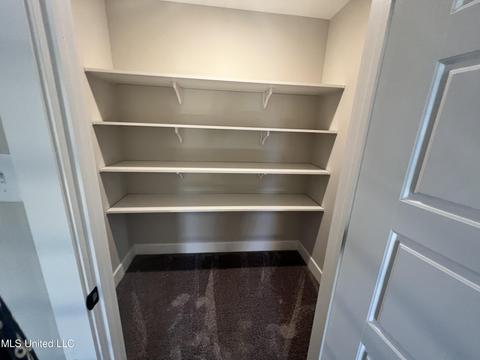 13805 High Fields Way, Olive Branch, MS 38654 photo 27