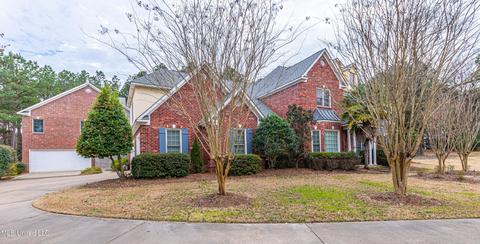 390 Johnstone Dr, Madison, MS 39110 photo 5