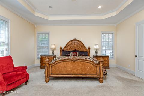 390 Johnstone Dr, Madison, MS 39110 photo 61