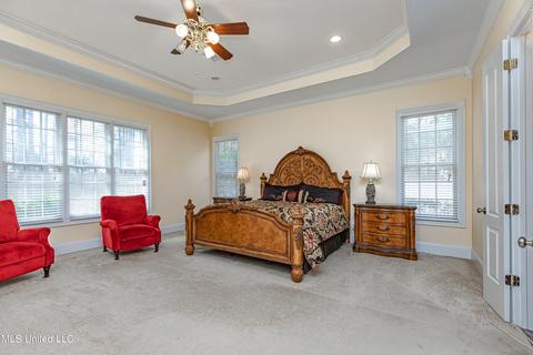 390 Johnstone Dr, Madison, MS 39110 photo 60
