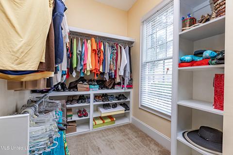 390 Johnstone Dr, Madison, MS 39110 photo 68