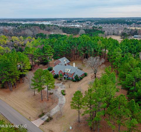 390 Johnstone Dr, Madison, MS 39110 photo 32